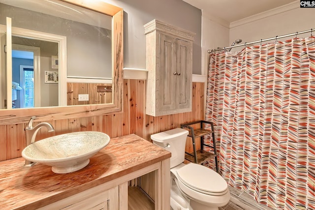 109 Broad Bluff Pt, Irmo, SC 29063 - bathroom with toilet, wood walls, ornamental molding, a shower with shower curtain, and vanity
