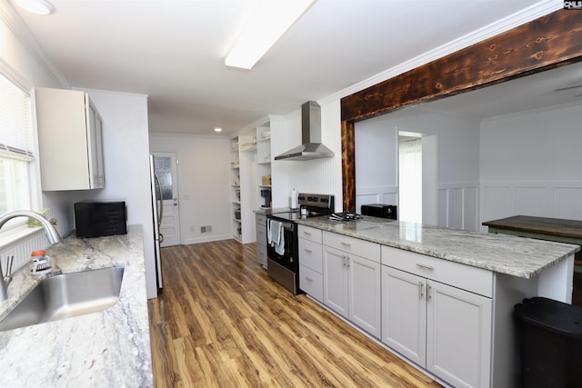 805 Mcrae Rd, Camden, SC 29020 - kitchen featuring wall chimney range hood, stainless steel appliances, a sink, a peninsula, and light wood-type flooring