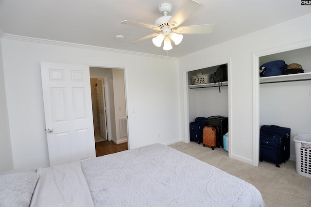 805 Mcrae Rd, Camden, SC 29020 - bedroom featuring multiple closets, ornamental molding, ceiling fan, and carpet flooring