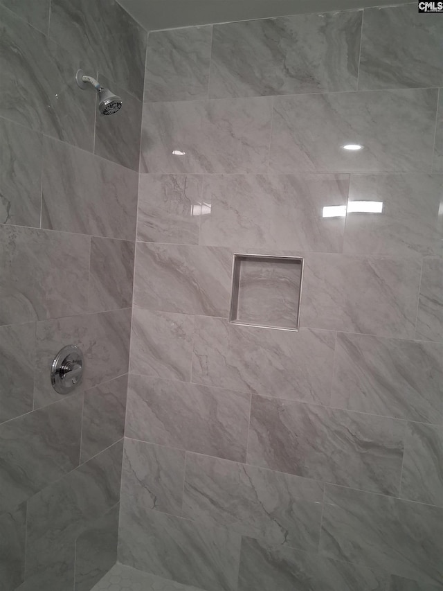 1904 Elise Rd, Columbia, SC 29210 - bathroom with tiled shower