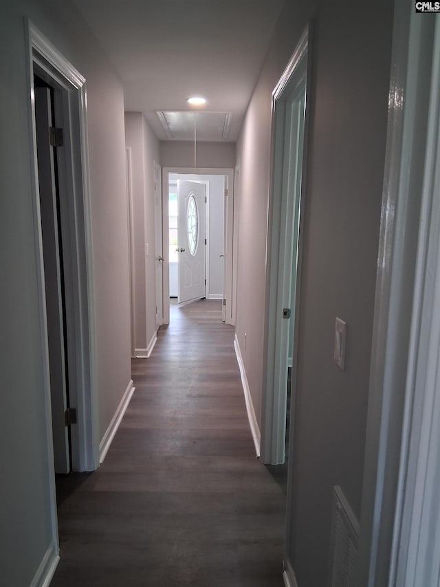 1904 Elise Rd, Columbia, SC 29210 - hallway featuring attic access, dark wood-style floors, and baseboards