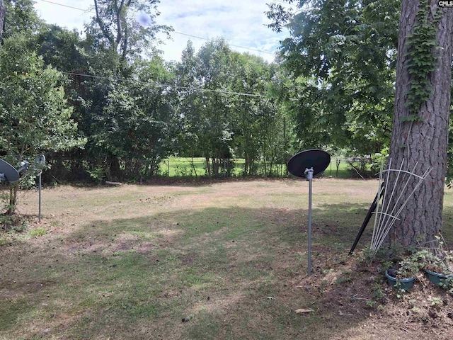 1904 Elise Rd, Columbia, SC 29210 - view of yard