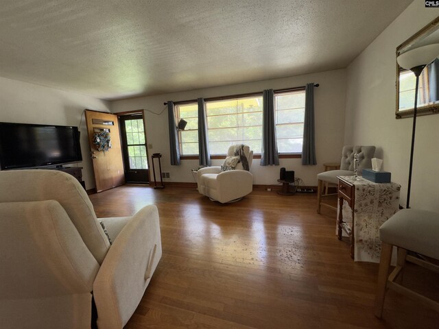 2313 Omega Dr, Columbia, SC 29223 - living room featuring wood finished floors and a textured ceiling