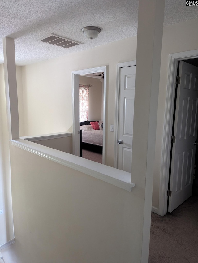 304 Cutter Ct, Chapin, SC 29036 - hallway featuring carpet flooring and a textured ceiling