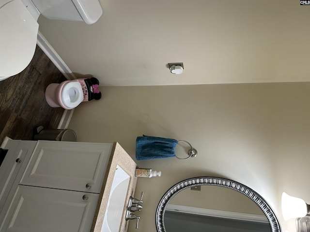 304 Cutter Ct, Chapin, SC 29036 - view of bathroom