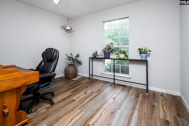 116 Beech Branch Dr, Irmo, SC 29063 - office featuring wood finished floors, baseboards, and a textured ceiling