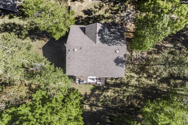 2033 Old Hilton Rd, Chapin, SC 29036 - view from above of property