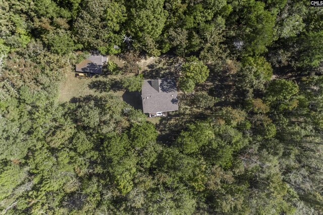 2033 Old Hilton Rd, Chapin, SC 29036 - view from above of property