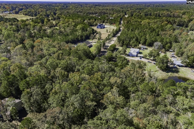 2033 Old Hilton Rd, Chapin, SC 29036 - aerial view of property and surrounding area with a forest
