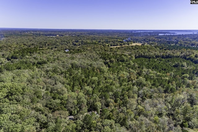 2033 Old Hilton Rd, Chapin, SC 29036 - aerial overview of property's location with a heavily wooded area