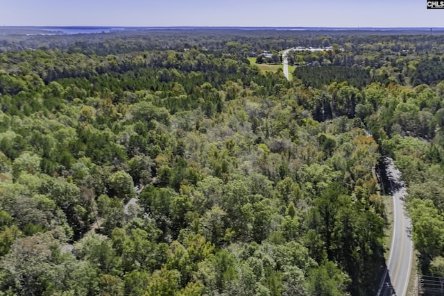 2033 Old Hilton Rd, Chapin, SC 29036 - view of property location featuring a heavily wooded area