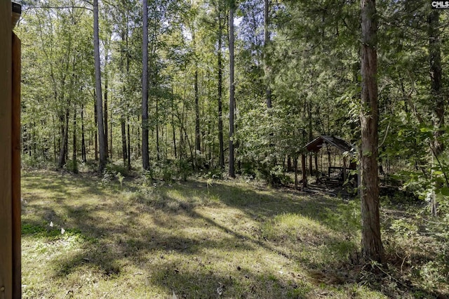 2033 Old Hilton Rd, Chapin, SC 29036 - view of woods