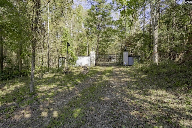 2033 Old Hilton Rd, Chapin, SC 29036 - view of yard with a gate
