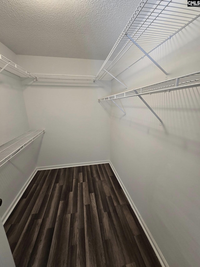 walk in closet featuring dark wood-type flooring