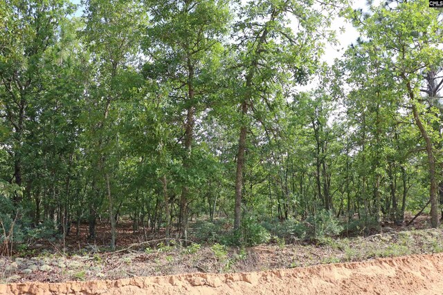 TBD Webbs Pond, Williston, SC 29853