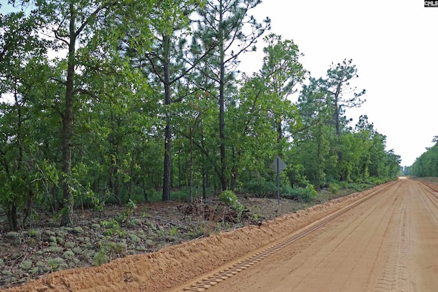 TBD Webbs Pond, Williston, SC 29853