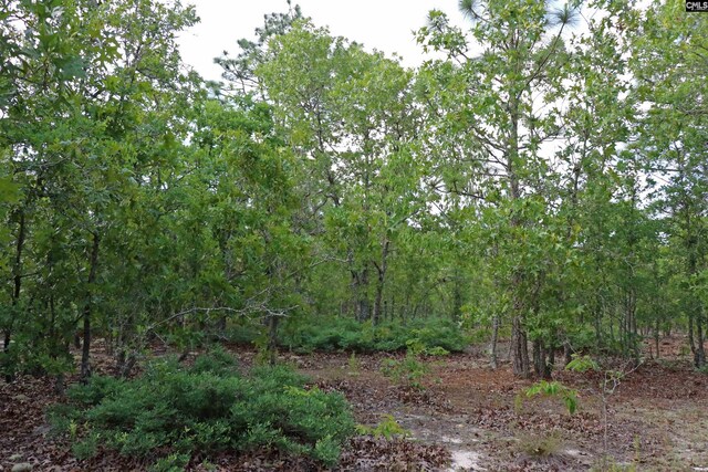 TBD Webbs Pond, Williston, SC 29853