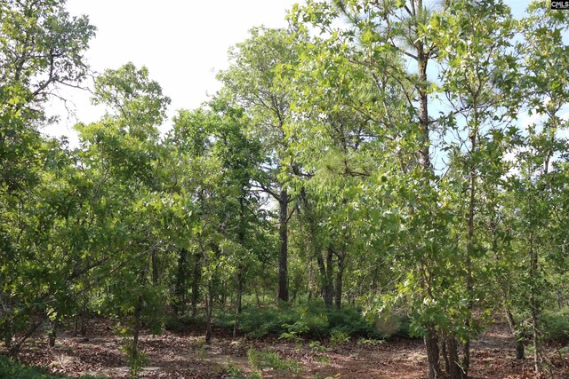 TBD Webbs Pond, Williston, SC 29853