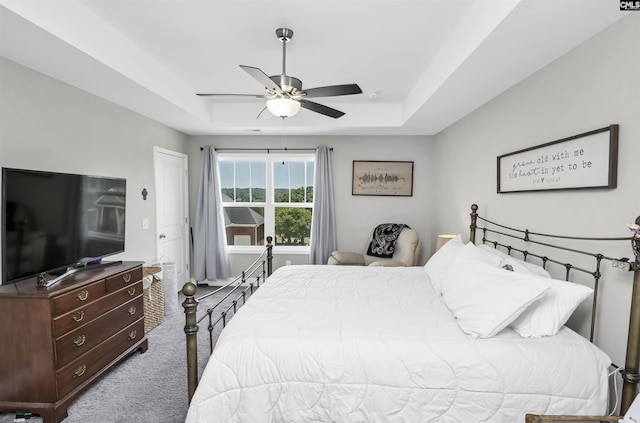 245 Long Iron Ct, West Columbia, SC 29172 - bedroom with a tray ceiling, carpet flooring, and ceiling fan