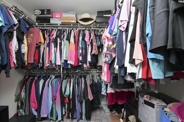 245 Long Iron Ct, West Columbia, SC 29172 - view of spacious closet
