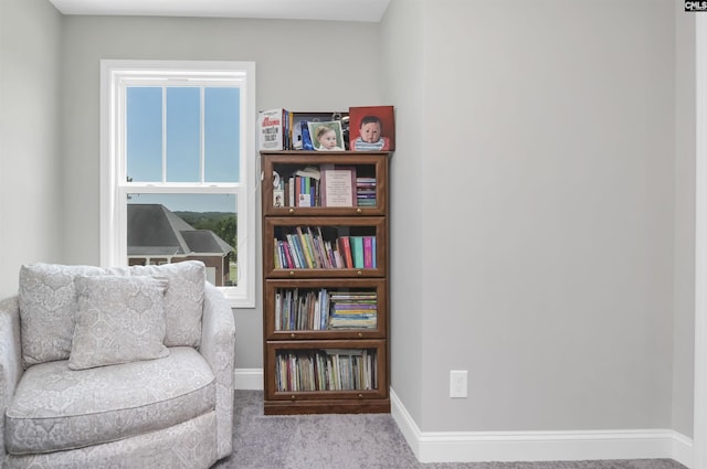 245 Long Iron Ct, West Columbia, SC 29172 - living area featuring carpet flooring and baseboards