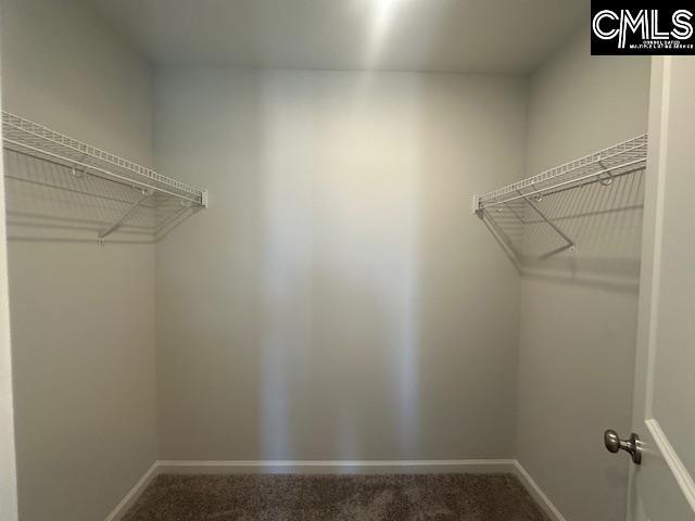 1023 Skyline Rd, Columbia, SC 29229 - walk in closet featuring carpet floors