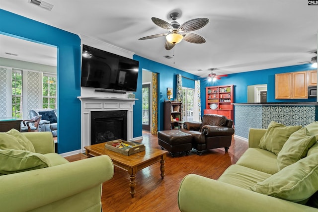 306 Austree Dr, Columbia, SC 29229 - living area featuring ceiling fan, wood finished floors, and a glass covered fireplace