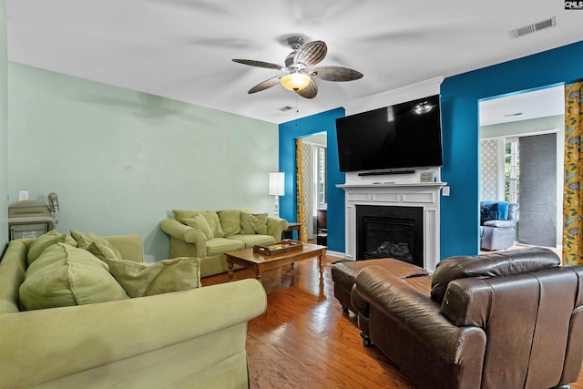 306 Austree Dr, Columbia, SC 29229 - living area with ceiling fan, wood finished floors, and a glass covered fireplace