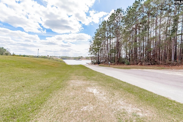 306 Austree Dr, Columbia, SC 29229 - view of road