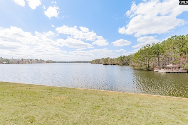 306 Austree Dr, Columbia, SC 29229 - water view