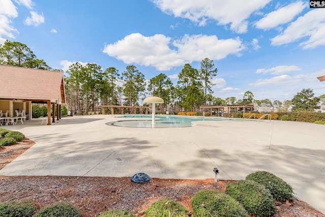 306 Austree Dr, Columbia, SC 29229 - view of property's community with a pool and a patio area