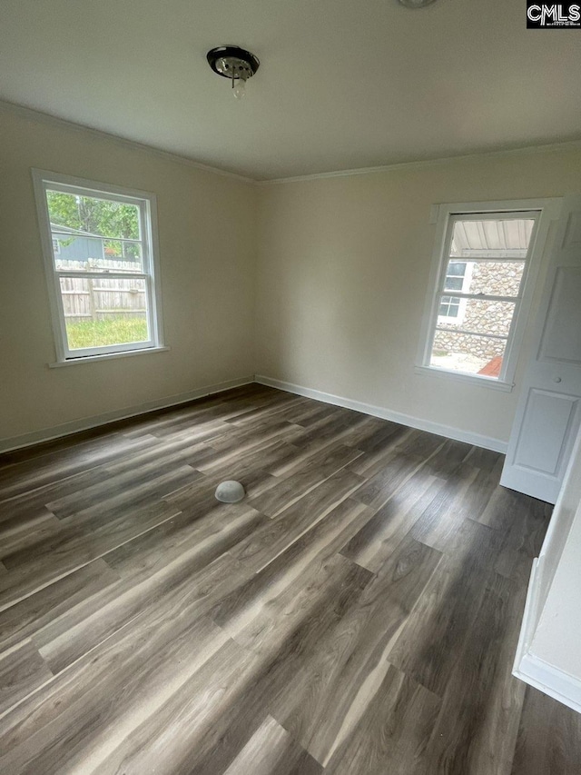 2803 Stewart St, Camden, SC 29020 - spare room featuring crown molding, healthy amount of natural light, dark wood-style flooring, and baseboards