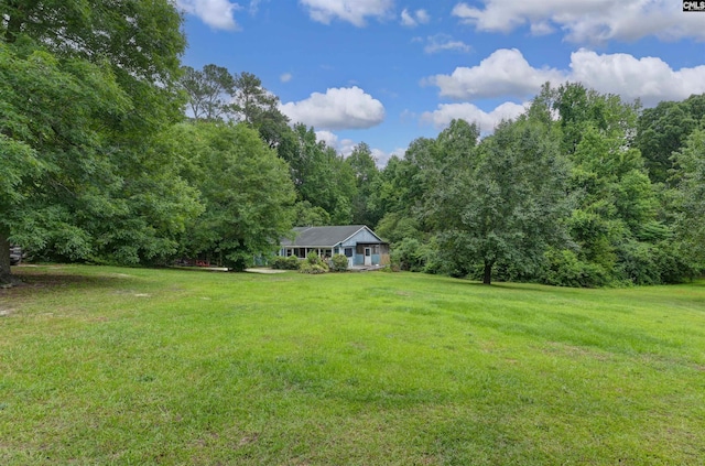 3334 Spring Dr, West Columbia, SC 29170 - view of green lawn featuring a view of trees