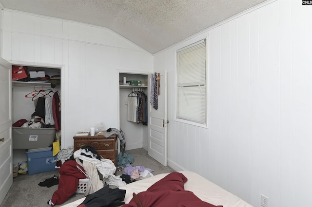 3334 Spring Dr, West Columbia, SC 29170 - bedroom featuring vaulted ceiling, carpet floors, and a textured ceiling