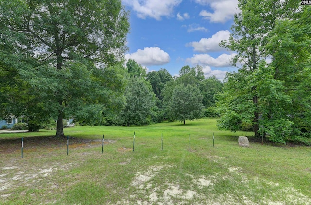 3334 Spring Dr, West Columbia, SC 29170 - view of yard