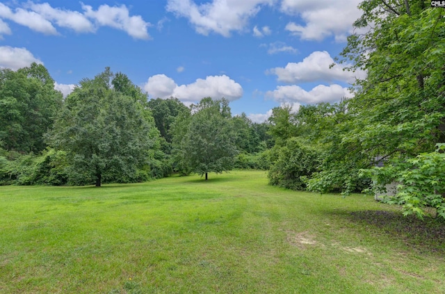 3334 Spring Dr, West Columbia, SC 29170 - view of green lawn featuring a wooded view