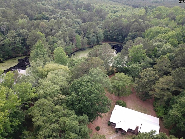 141 Frost Rd, Camden, SC 29020 - bird's eye view of a forest