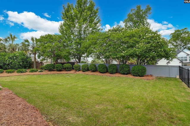 1 Downing Cir, Gilbert, SC 29054 - view of yard