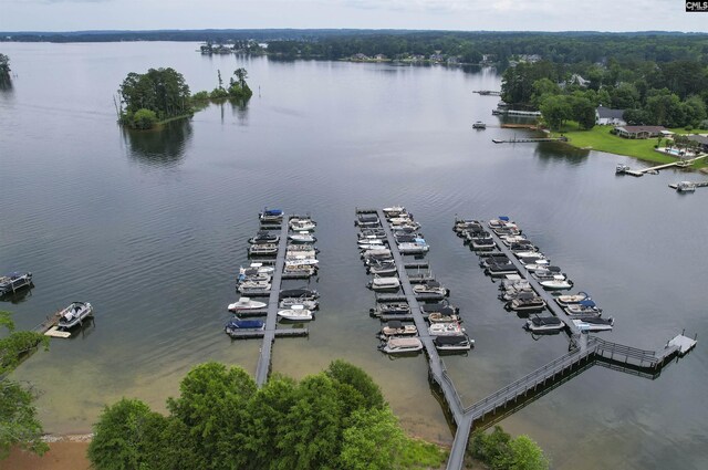 1 Downing Cir, Gilbert, SC 29054 - bird's eye view of a nearby body of water and a marina