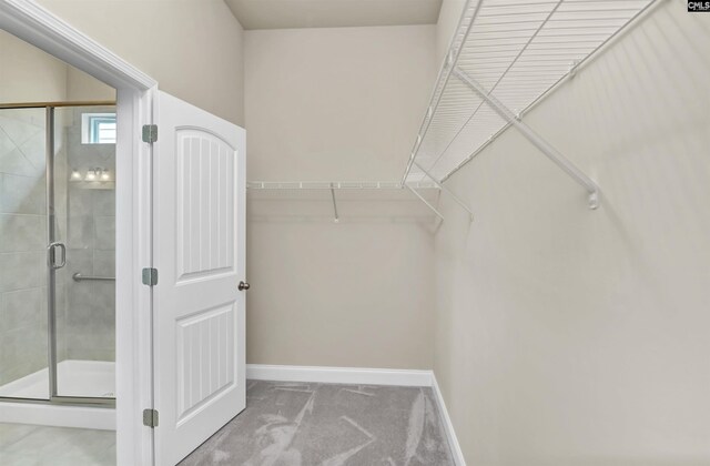 1 Downing Cir, Gilbert, SC 29054 - spacious closet featuring carpet flooring