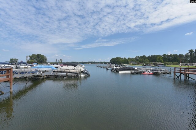 1 Downing Cir, Gilbert, SC 29054 - dock featuring a water view