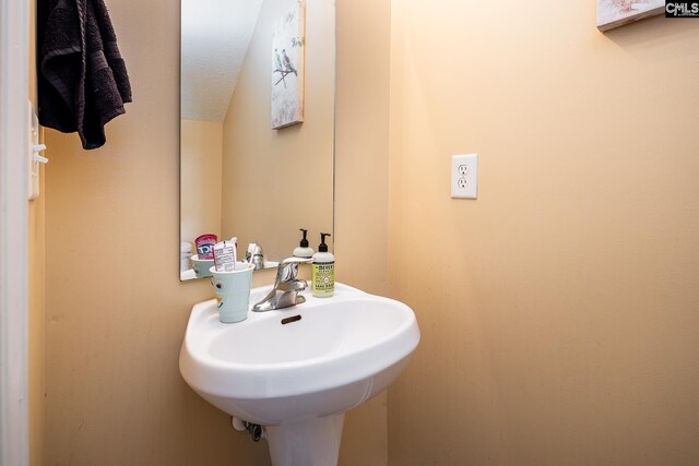 218 Blazer Dr, Lexington, SC 29073 - bathroom with a sink