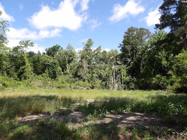 0 Russell St, Batesburg, SC 29006