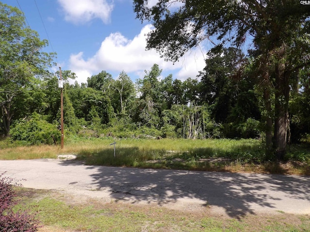 0 Russell St, Batesburg, SC 29006