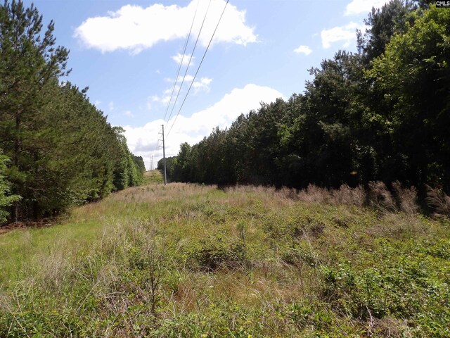 0 Line St, Batesburg, SC 29006