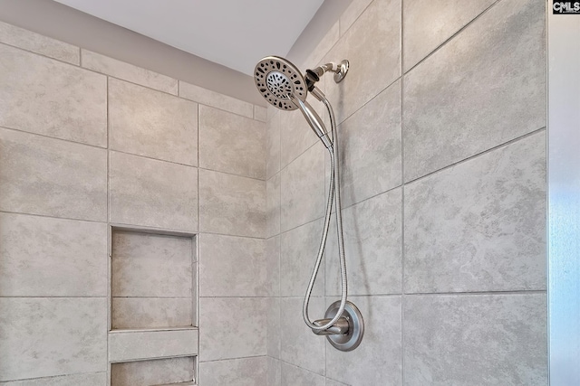 335 Hollow Cove Rd, Chapin, SC 29036 - bathroom view of tiled shower
