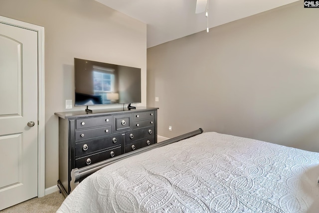 335 Hollow Cove Rd, Chapin, SC 29036 - bedroom with light carpet and baseboards