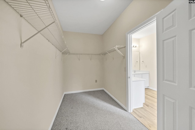 23 Ash Ct, Irmo, SC 29063 - walk in closet with light colored carpet