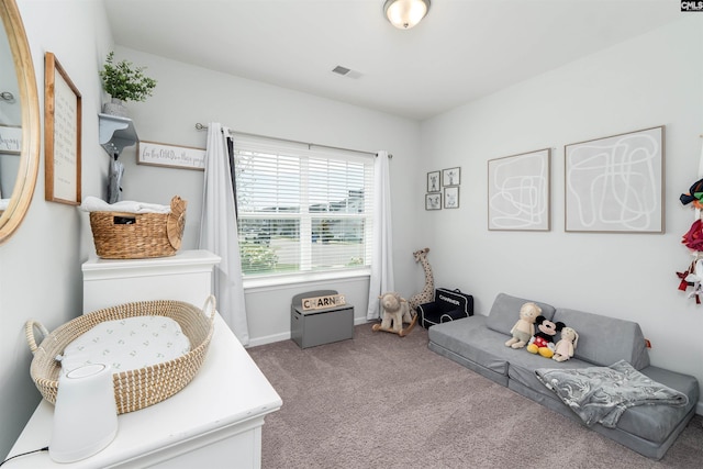 1401 Ardennes Dr, Elgin, SC 29045 - sitting room with carpet