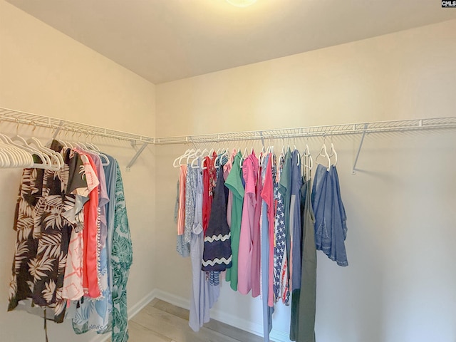 121 Ashford Way, Lexington, SC 29072 - view of walk in closet